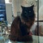 Beautiful boy "Meeka" Carousel 1