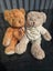 Cutest teddy bears Carousel 4