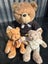 Cutest teddy bears Carousel 1