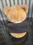 Cutest teddy bears Carousel 3