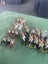 28mm Hinchcliffe Napoleonic French Carousel 1