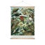 Loading Image 1 of 2