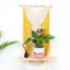 Macrame Plant Hanger Shelf Wall Hanging Carousel 5