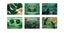 Loading Image 1 of 3