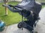 Mountain Buggy Urban Jungle 2.0 Carousel 7