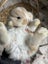 **Trained Mini Lop Bunny Rabbits & Care Package** Carousel 4
