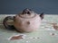 Small Old Chinese ? Pottery Teapot With Branch Features Signed On Base And Top Carousel 2