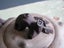 Small Old Chinese ? Pottery Teapot With Branch Features Signed On Base And Top Carousel 7