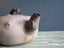 Small Old Chinese ? Pottery Teapot With Branch Features Signed On Base And Top Carousel 11
