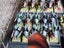 Warhammer ToW- orcs & Goblin tribes. Large army Carousel 7