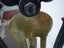 VINTAGE CAST IRON LARGE SCALES + BRASS WEIGHTS X 4 Carousel 5