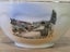 Vintage Souvenir Ware - Marine Parade, Napier (NZ) Miniature Bowl Carousel 8
