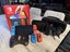 ** NINTENDO SWITCH OLED + EXTRAS ** Carousel 1