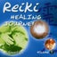 Llewellyn - Reiki: Healing Journey, Vol.1 Carousel 1