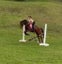Awesome second pony Carousel 3