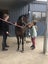 Awesome second pony Carousel 5