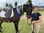 Awesome second pony Carousel 9