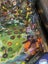 Jurassic Park pro Pinball Machine Carousel 7