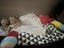 Pretty, Playful, and Packed with Personality – Izzy Carousel 9