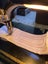 Collectable Centenary Singer Featherweight 221K Carousel 12