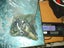 $1 RESERVE - Gorgeous Parcel of Pounamu Pieces - 2.2 lbs Carousel 5