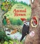 Look Inside Animal Homes (Look Inside) [Board book Carousel 1