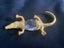 GILT AND CRYSTAL CROCODILE Carousel 3