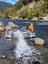 Gold dredge 6 inch triple sluice Carousel 4