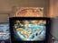 White Water Williams 1993 Pinball Machine Carousel 1