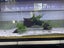 Aquatic plants Carousel 1
