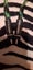 KLEI QFLOW3 RCA INTERCONNECT CABLES - RRP $1375 - UPDATED!!! Carousel 2