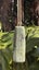 New Zealand Pounamu Toki - Tasman Carousel 1