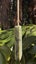 New Zealand Pounamu Toki - Tasman Carousel 8