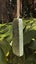 New Zealand Pounamu Toki - Tasman Carousel 4