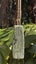 New Zealand Pounamu Toki - Tasman Carousel 6