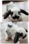 Purebred mini lop bunnies Carousel 6