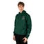 Mens Champion Powerblend Forest Peak Green Graphic Hoodie Carousel 1