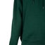 Mens Champion Powerblend Forest Peak Green Graphic Hoodie Carousel 8
