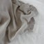 Baby Blanket Carousel 3