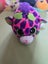 Bulk TY Toys Carousel 2