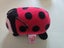 Bulk TY Toys Carousel 5