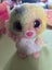 Bulk TY Toys Carousel 16