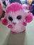 Bulk TY Toys Carousel 17