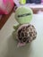 Bulk TY Toys Carousel 20