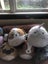 Squishmallow bulk lot Carousel 2