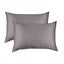 Mulberry Silk Pillow Case Twin Pack Size: 51X76cm Charcoal Carousel 1