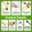 Brand NEW Football Soccer Goal Carousel 9