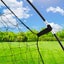 Brand NEW Football Soccer Goal Carousel 10