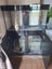 Fish tank Carousel 3
