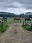 Horse grazing Carousel 2